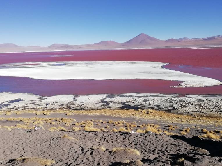 Podría parecer una foto retocada, pero la laguna colorada en Bolivia tiene este color tan espectacular.