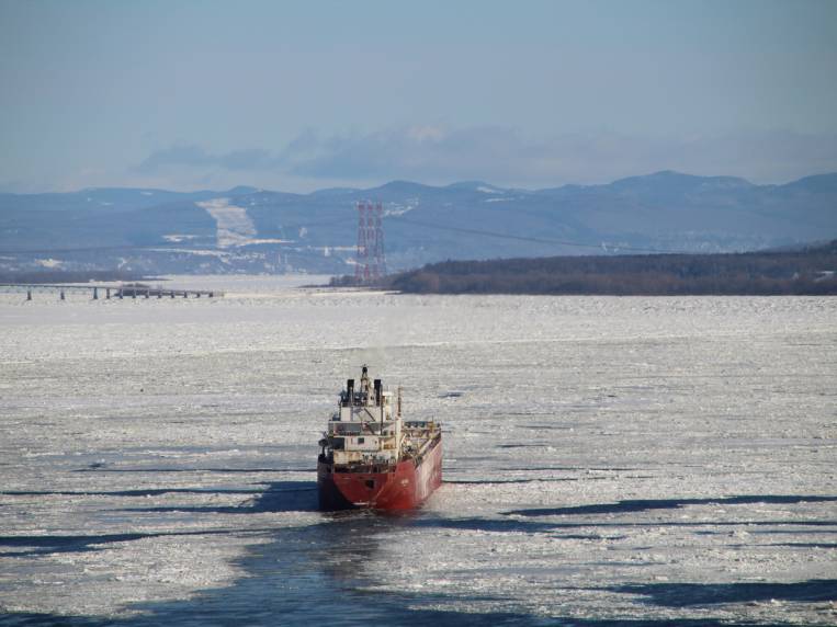 Los barcos se abren paso entre los bloques de hielo.
