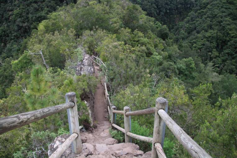 Último tramo de escaleras hacia el Mirador del Espigón Atravesado. Final de uno de los recorridos en el Bosque de los Tilos.