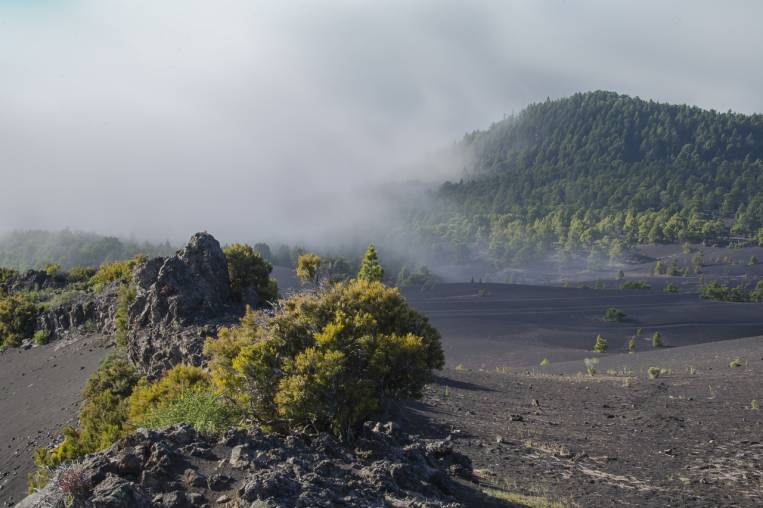Mirador Llano del Jable entre la neblina. Foto: Martin Lovekosi vía Flickr.