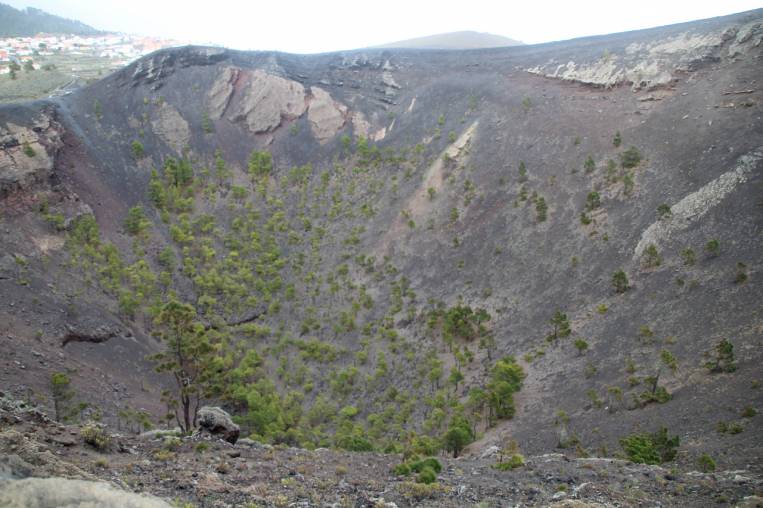 Cráter del Volcán de San Antonio, donde crece la vegetación.